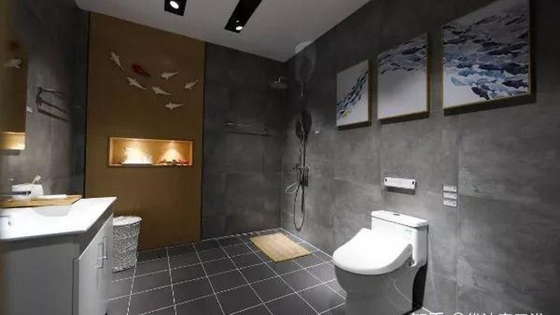 智能马桶一体机与智能马桶盖：价格差异背后的考量